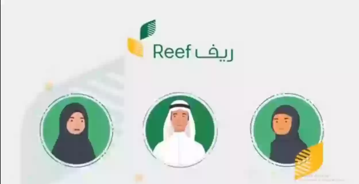 متي ينزل دعم ريف لشهر نوفمبر 2024؟ وماهي الشروط المطلوبة لاستحقاق صرف الدعم .. ريف السعودية يُجيب