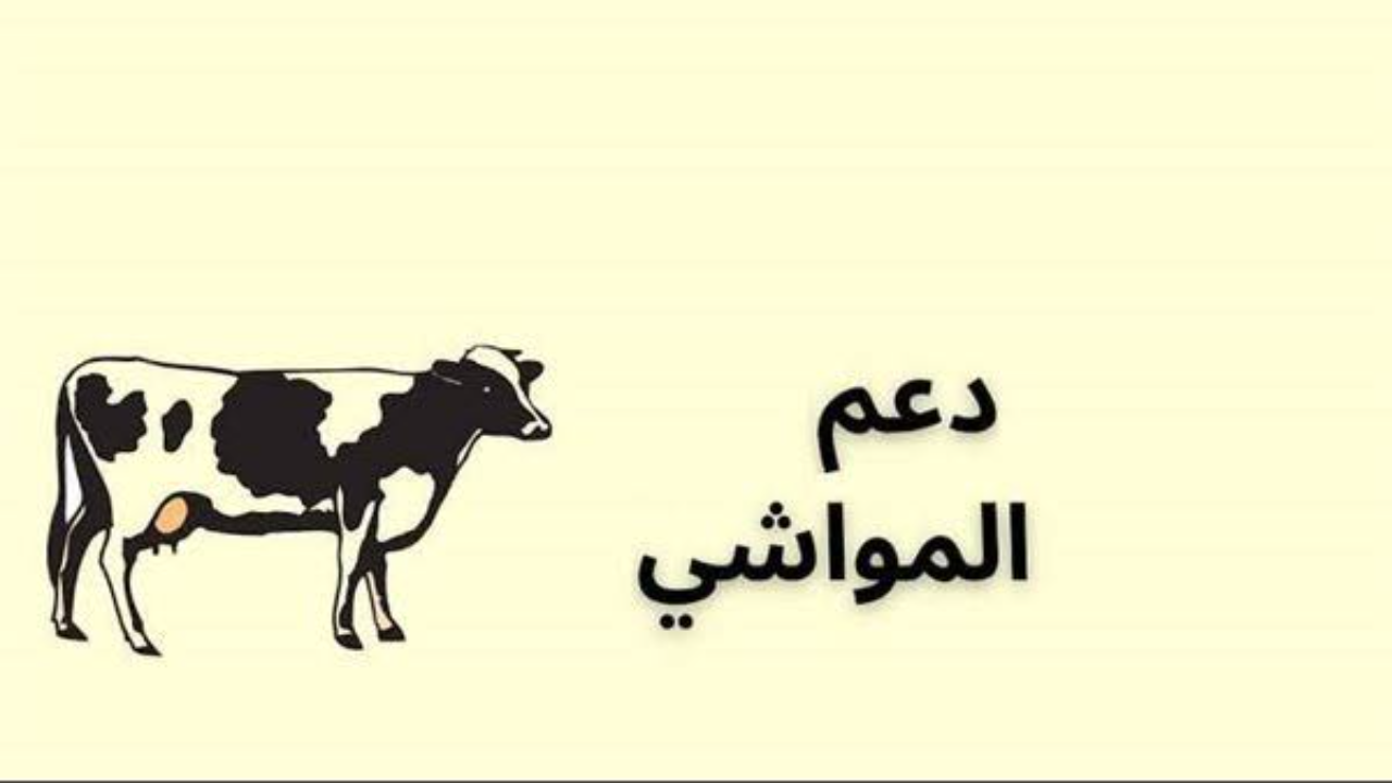 “بدأ العد التنازلي” خطوات الاستعلام عن دعم المواشي 1446 عبر وزارة البيئة والمياه وموعد الحصول عليه