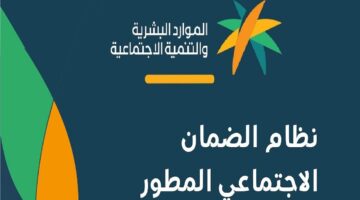 وجوب قبول الفرص الوظيفية المقدمة للمستفيد